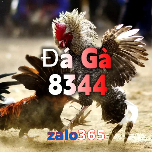 zalo365