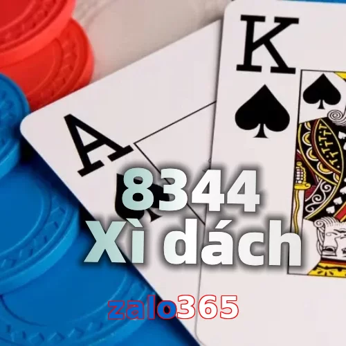 zalo365