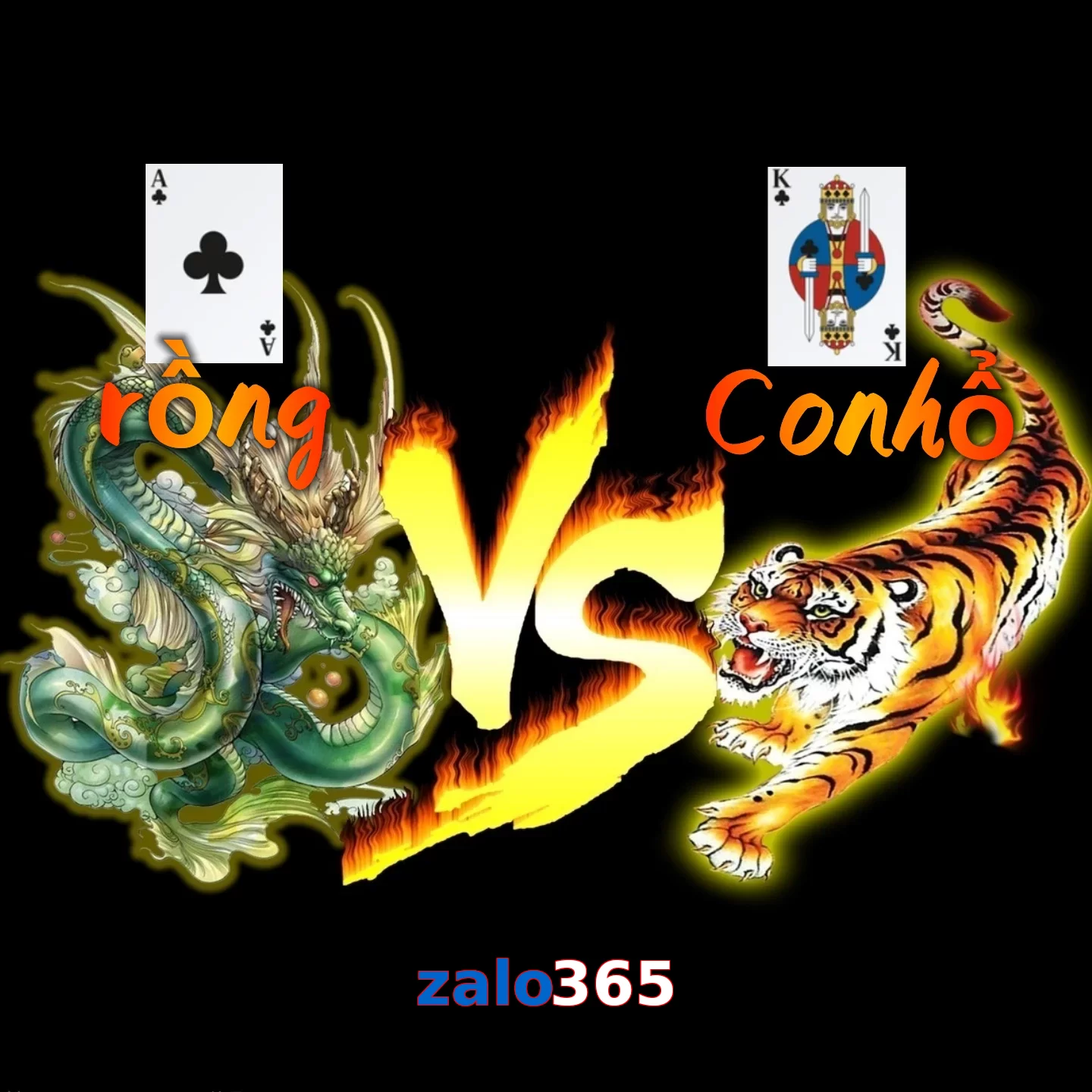 zalo365